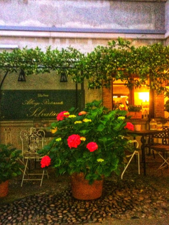 Zahrada ubytování Albergo & Ristorante Selvatico