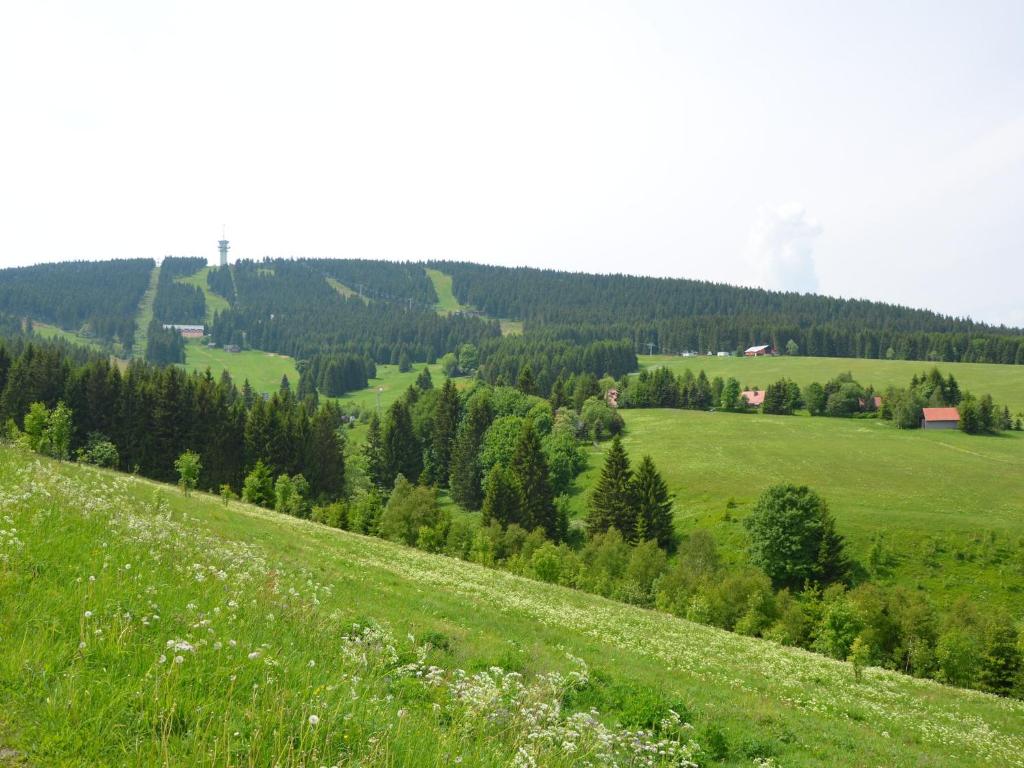Przyroda w pobliżu tego domu w stylu alpejskim