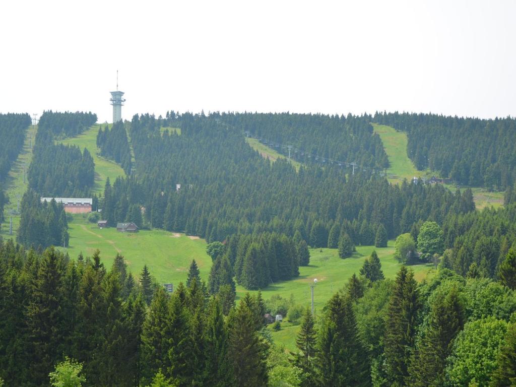 Przyroda w pobliżu tego domu w stylu alpejskim