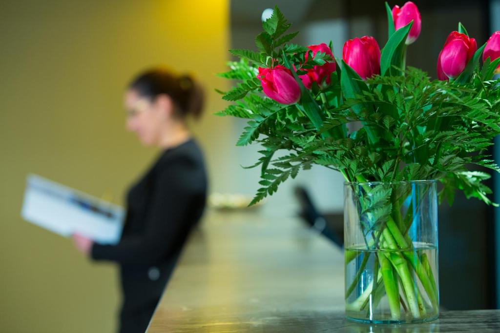 Airone City Hotel - Resim 20