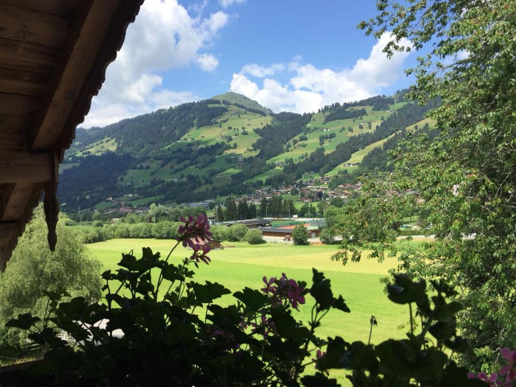 a view of a green field with mountains in the background at Haus Tirol in Brixen im Thale