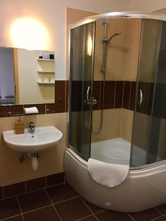un bagno con doccia e lavandino di Apartmany a Ubytovani Mlynice Litovel a Litovel