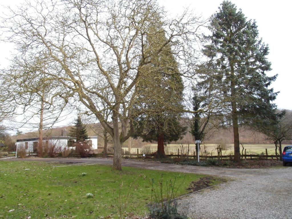 Zahrada ubytování Ferienhaus Uklei