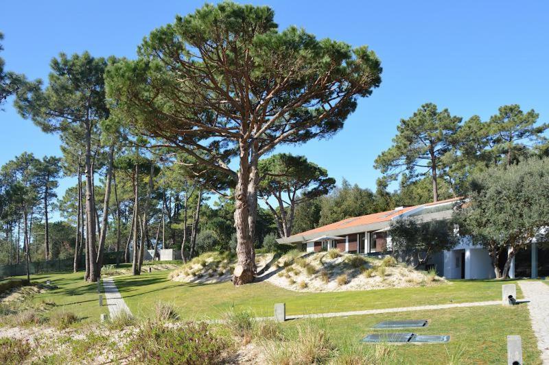 Villa Monte Serves, Sintra – Updated 2022 Prices