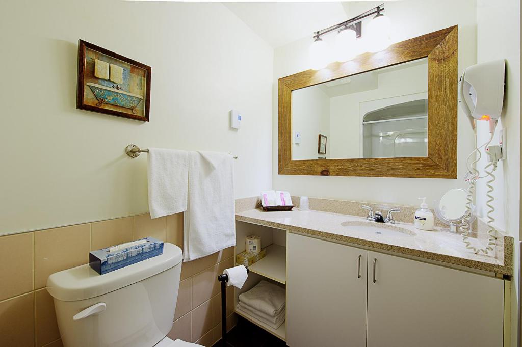 Koupelna v ubytování Hotel Vacances Tremblant