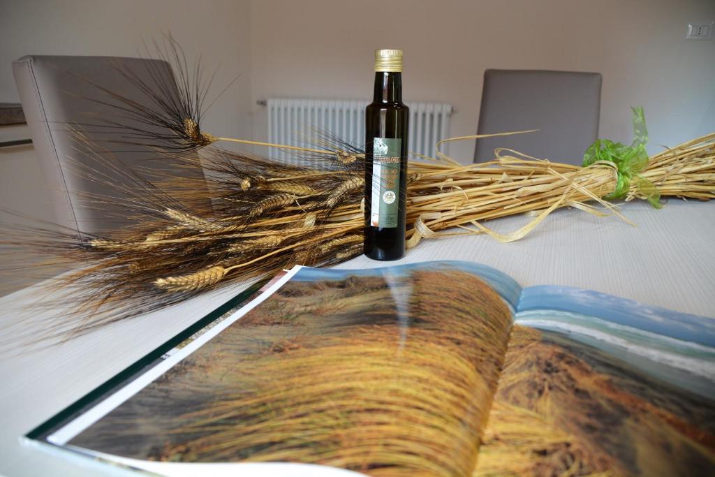 Fotografie z fotogalerie ubytování Agriturismo L'Aquilone v destinaci Magliano in Toscana