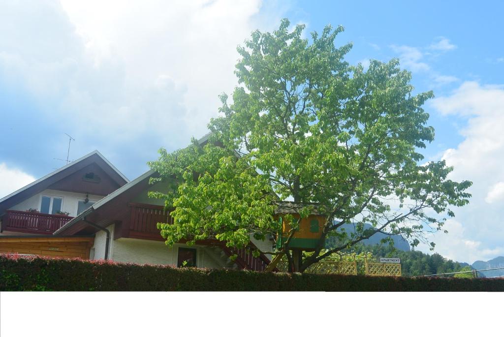 Budova, kde se apartmán nachází