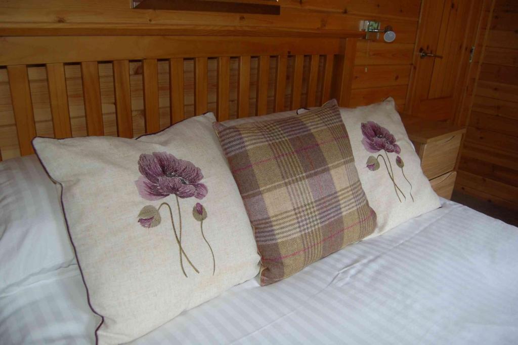 Luxury woodland Alder Lodge - 