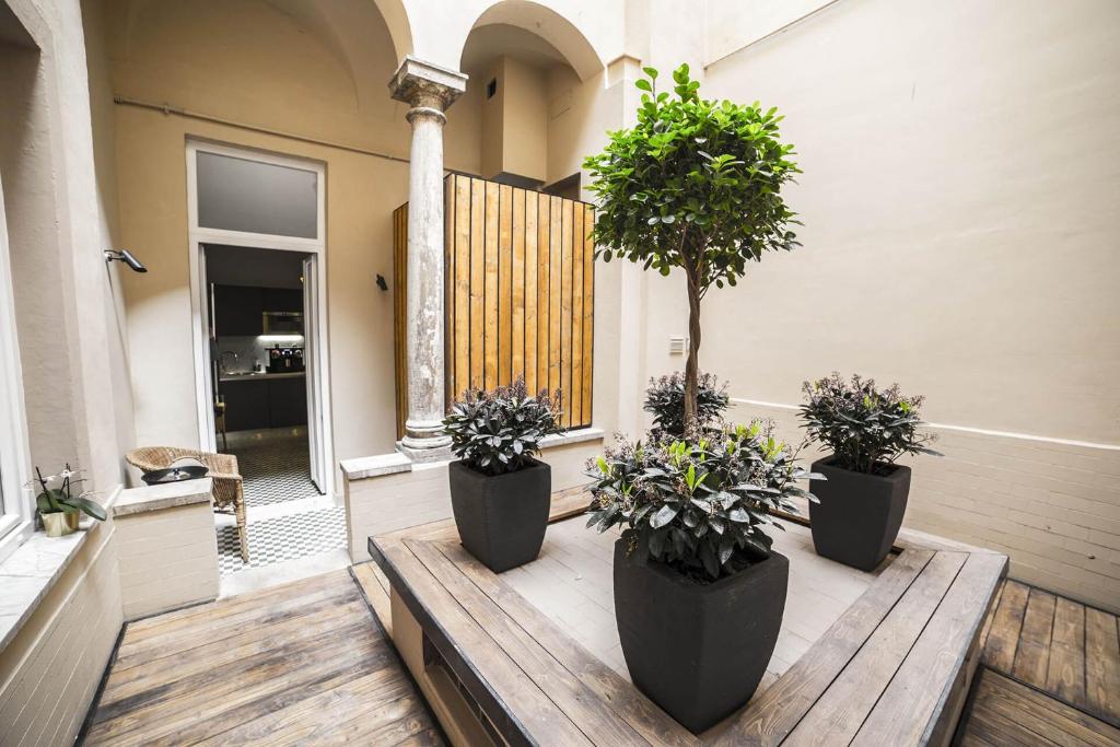 three potted plants sitting on a wooden table on a porch at SuiteLifeTrevi in Rome