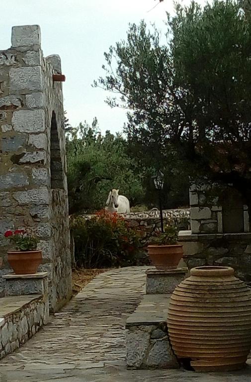 Zahrada ubytování Charouda Stone Tower