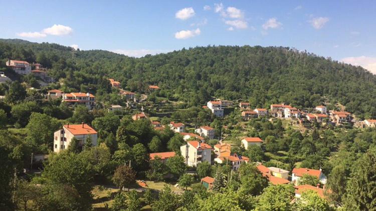 Príroda v okolí apartmánu