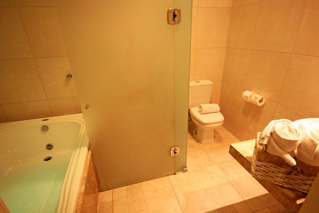 a bathroom with a shower and a toilet and a tub at Hotel Jangadeiro in Recife