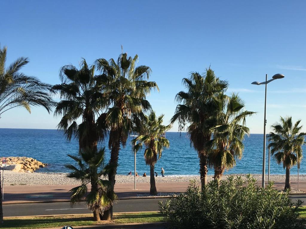 a beach with palm trees and the ocean at Tiercé Hotel in Cagnes-sur-Mer