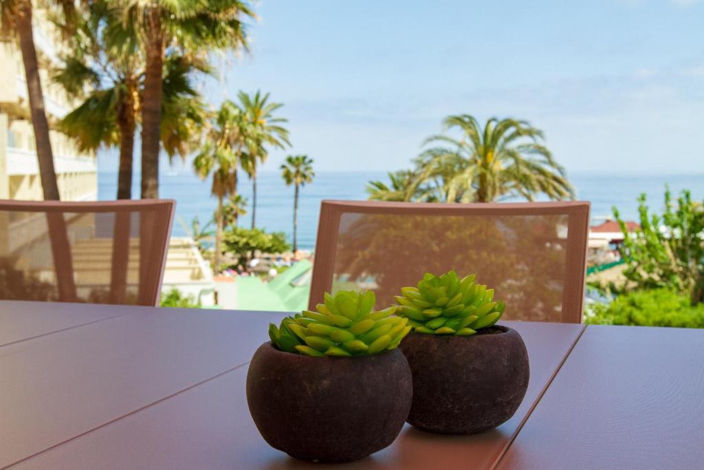 トレモリノスにあるLydia Unoの海辺のテーブルに座るバナナ2鉢