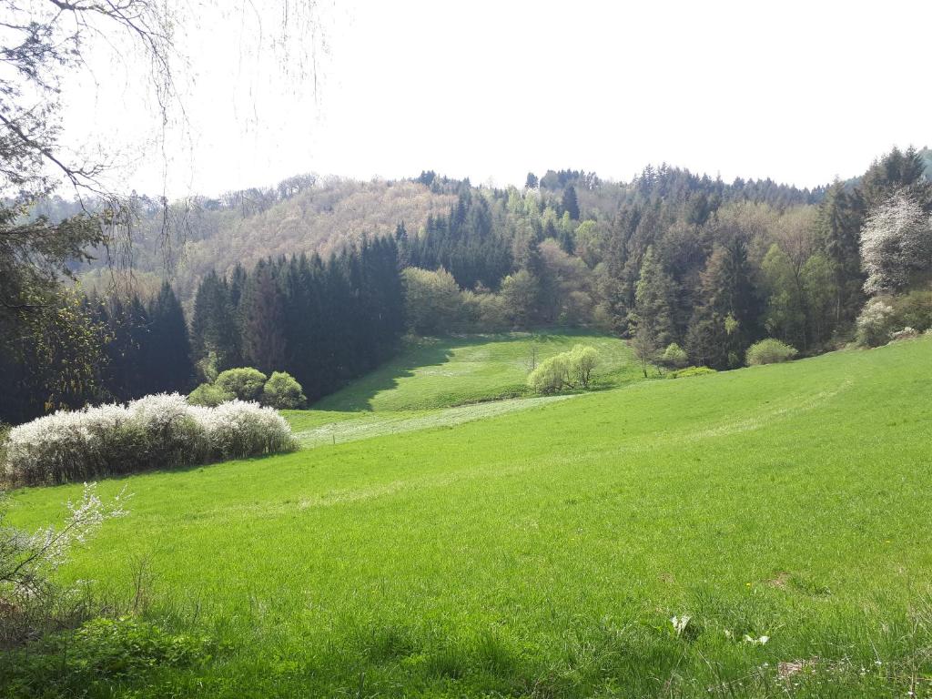 Příroda nedaleko penzionu – hostince