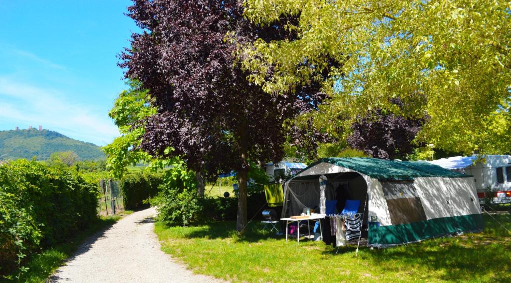 een tent in het gras naast een onverharde weg bij Camping Les Trois Chateaux in Eguisheim