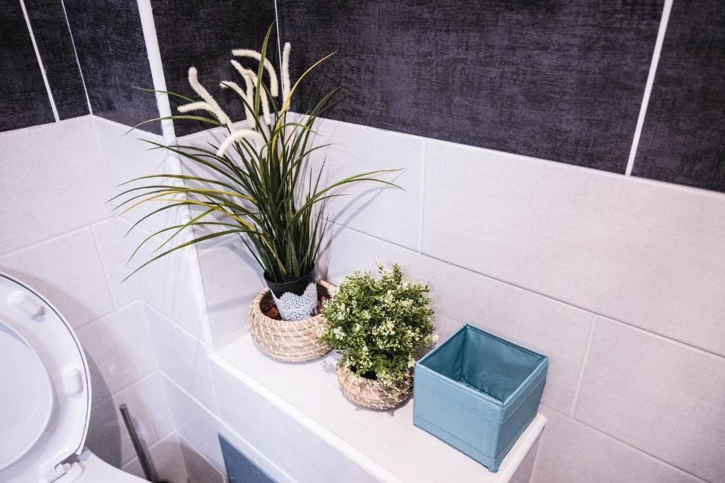 Bagno di Roma Centrale Fidelis