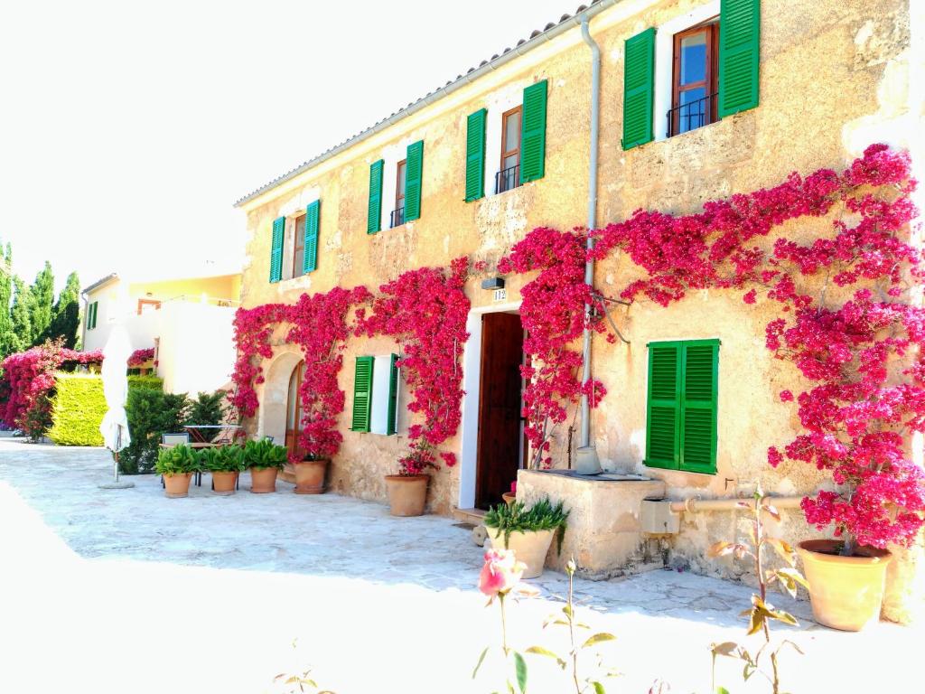 a building with pink flowers and green shutters at son capellot in Felanitx