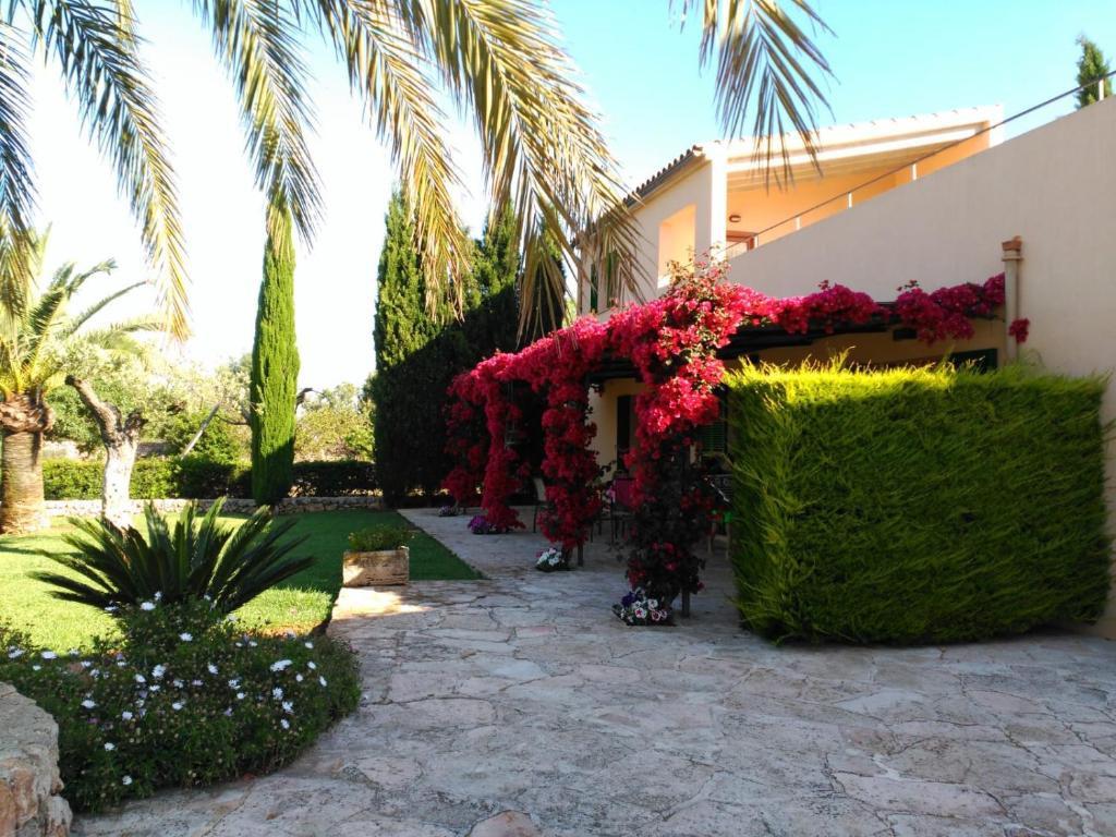 son capellot - 