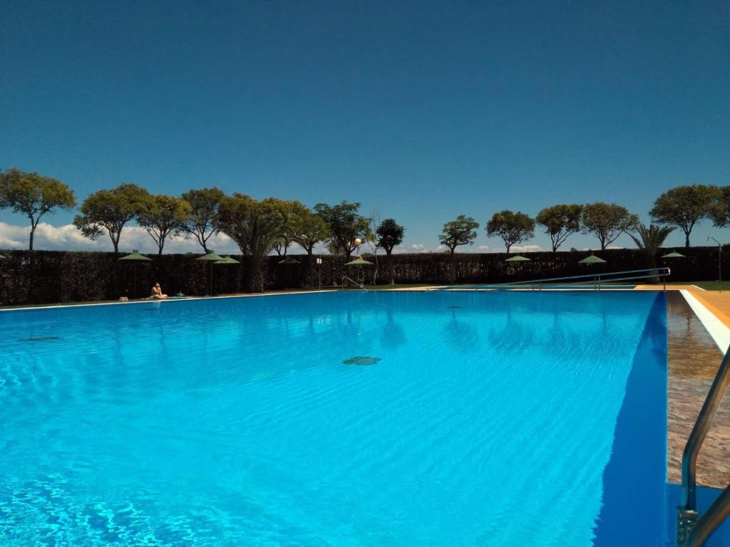 una grande piscina blu con alberi sullo sfondo di Camping Carlos III a La Carlota