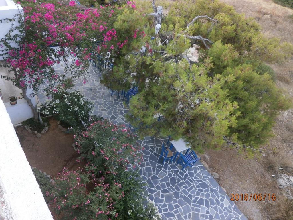 an aerial view of a garden with flowers at Hotel Flisvos in Megalochori
