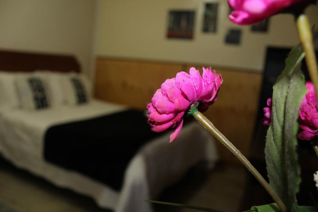 a pink flower in a room with a bed at Residencial del Maule in Linares