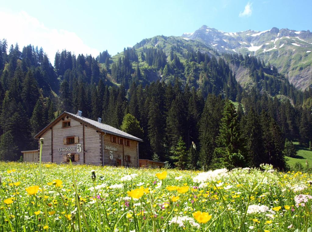 a field of flowers in front of a building at Vital Chalets in Schröcken