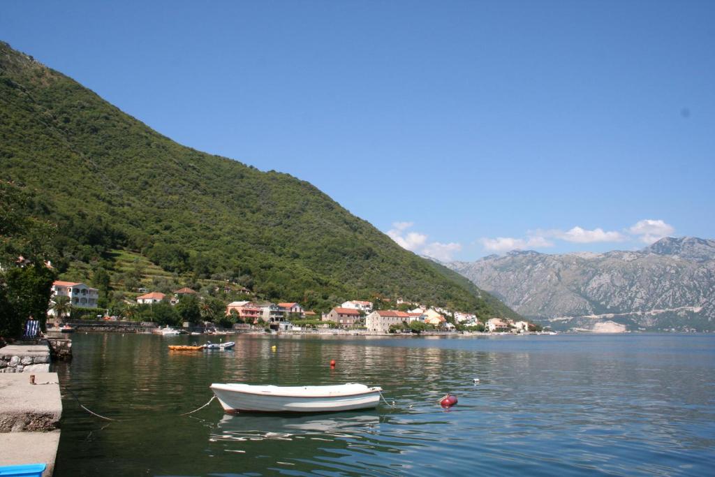 a boat sitting in the water next to a mountain at Apartments Penovic in Kotor