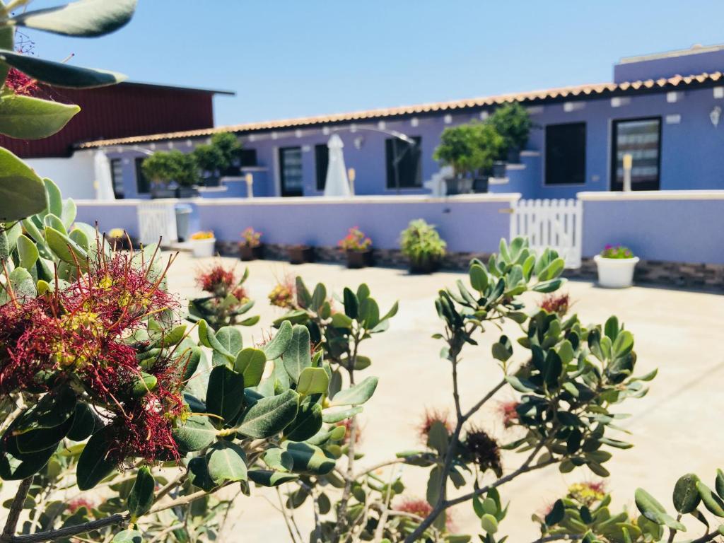 una casa con un cactus delante de ella en Casa Alice, en Siracusa