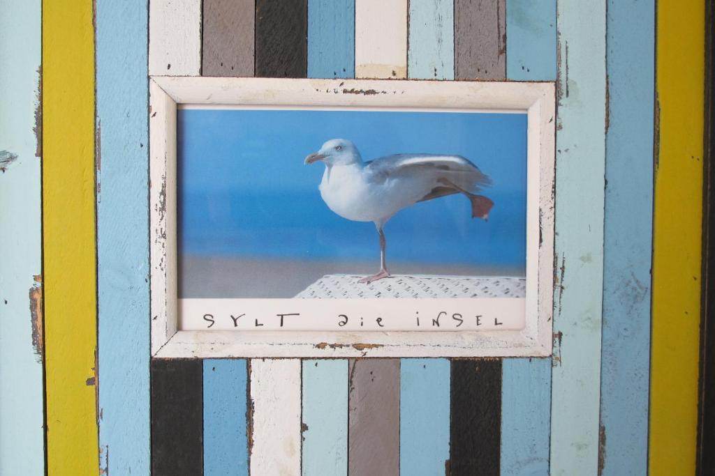 a picture of a seagull standing on a beach at Mowennest Morsum in Morsum