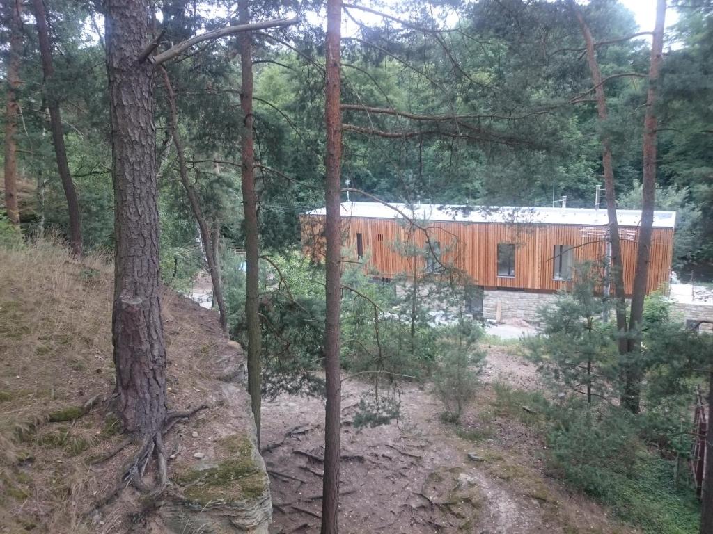 Příroda nedaleko penzionu