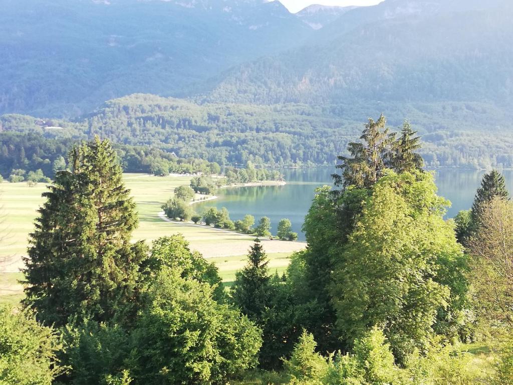 a view of a lake with trees and mountains at Apartment Mlakar in Bohinj