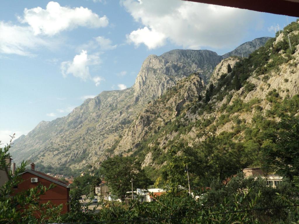 Apartments Škaljari - 13