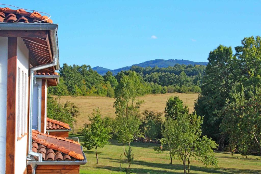 a house with a view of a field and trees at Sinjirite Complex in Elena