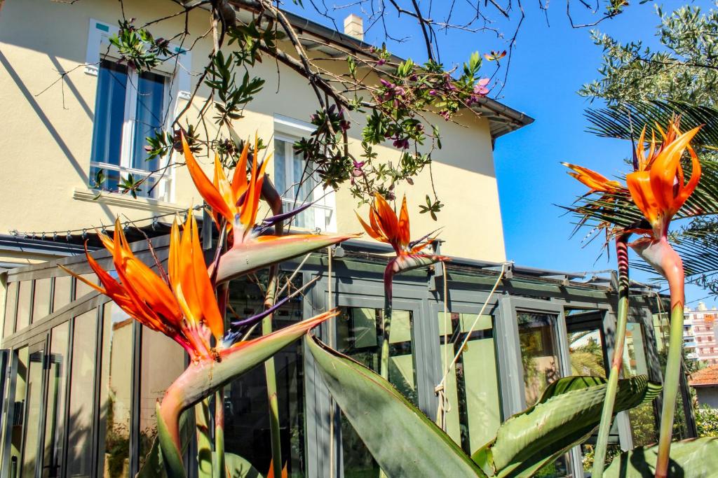 Zahrada ubytování B&B Villa Du Roc Fleuri