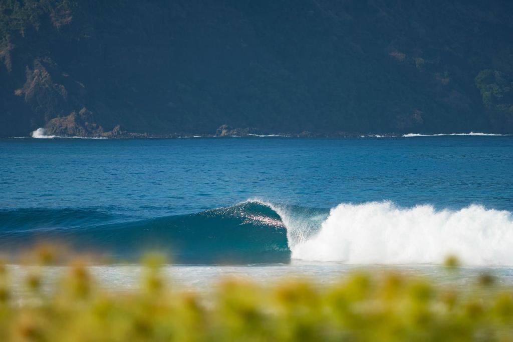 a surfer riding a wave in the ocean at Baha Baha Villas West Sumbawa - Sk8, Gym, Sauna & Spas Hot & Cold, Bar & Restaurant in Sekongkang