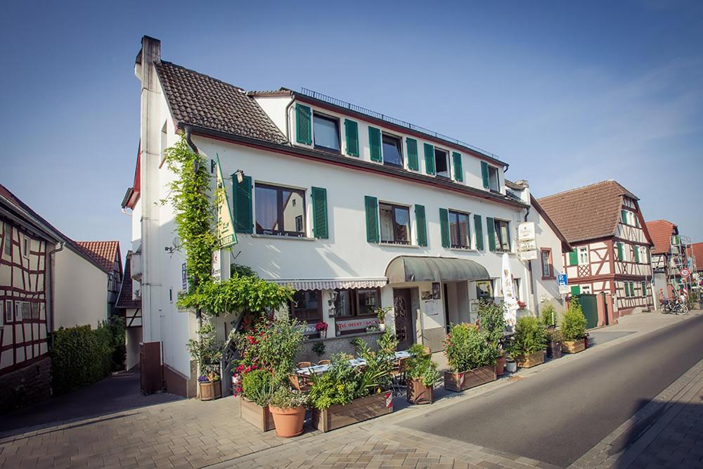 a building with potted plants on the side of a street at Hotel Lauer in Schoneck