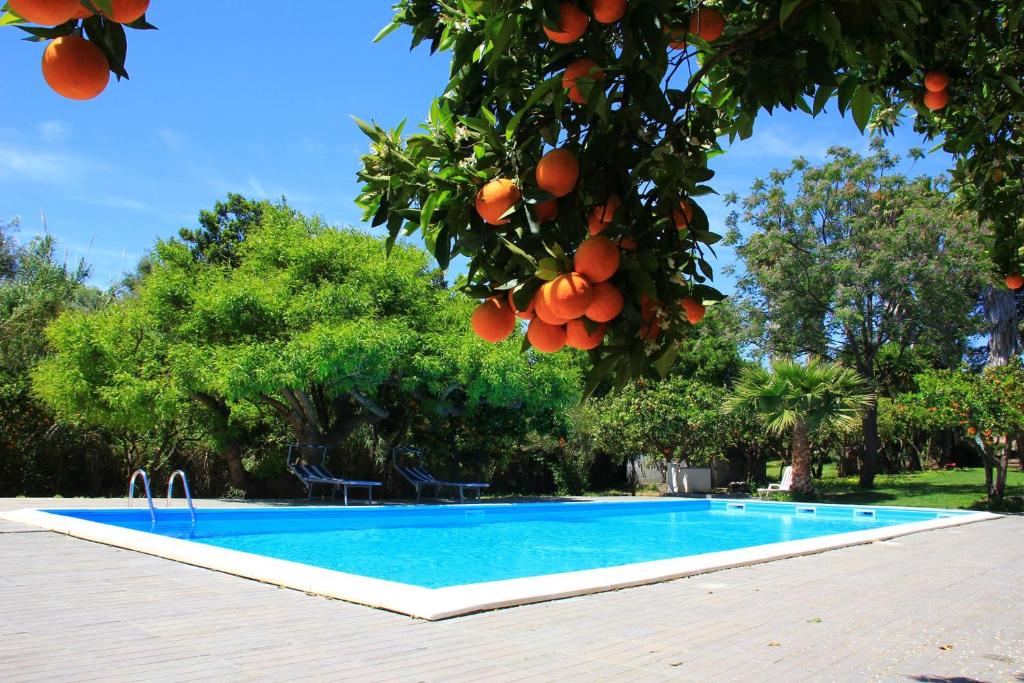 ein blauer Pool mit Orangen, die von einem Baum hängen in der Unterkunft Terre del Cardinale Country Suites in Catania