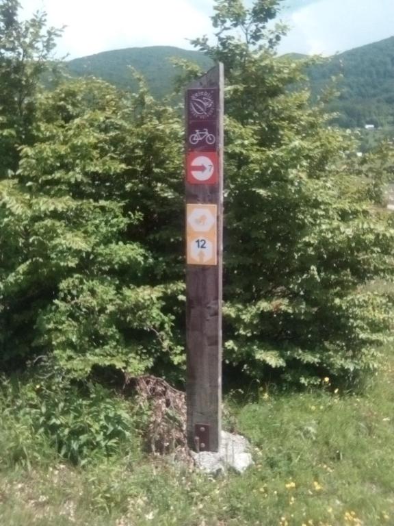Příroda nedaleko apartmánu