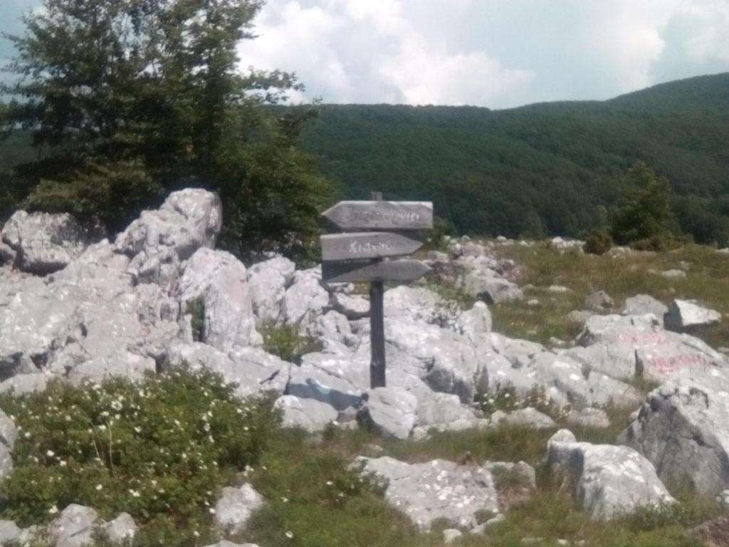 Příroda nedaleko apartmánu