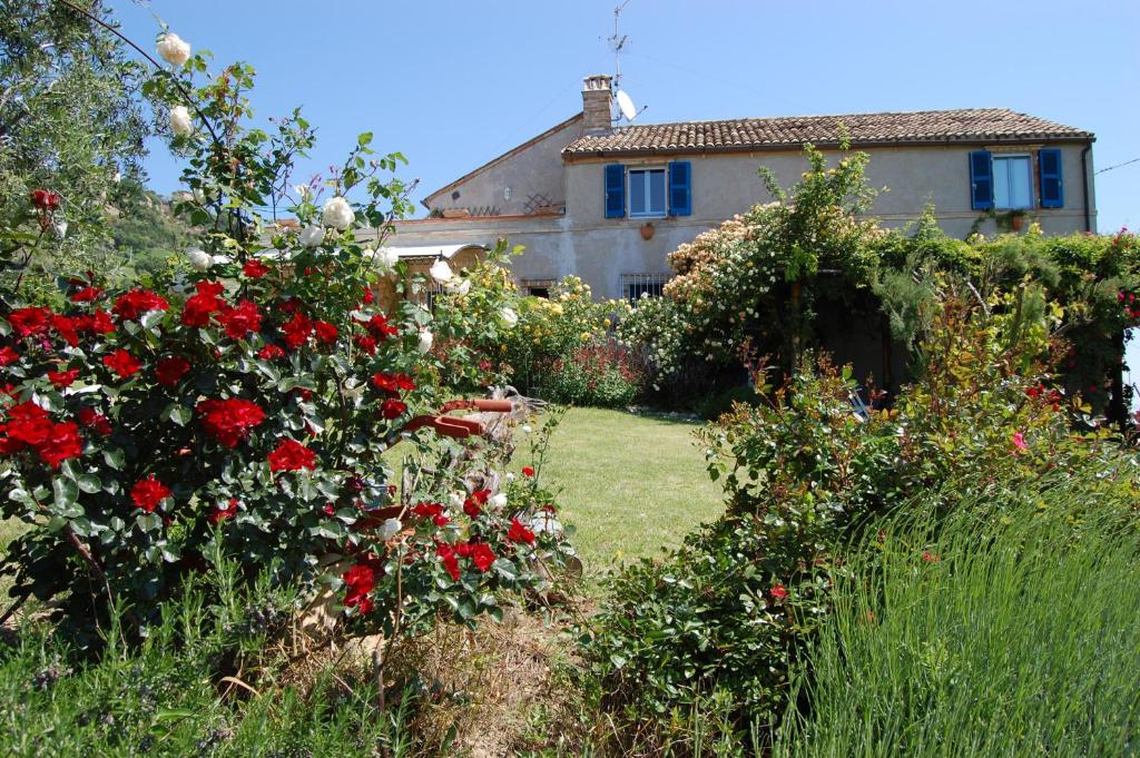 A garden outside B&B Vento di Rose
