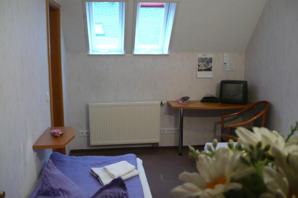 TV a/nebo společenská místnost v ubytování Gaststätte & Pension Jiedlitz