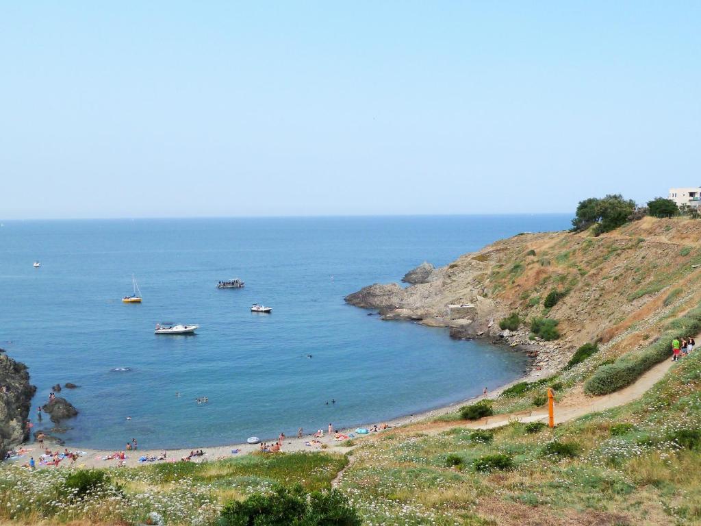 un groupe de personnes sur une plage avec des bateaux dans l'eau dans l'établissement 4OL137 Appartement avec vue mer, à Collioure