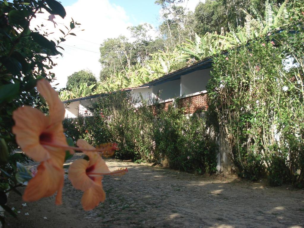 Estancia Vale das Flores  Estancia Vale das Flores