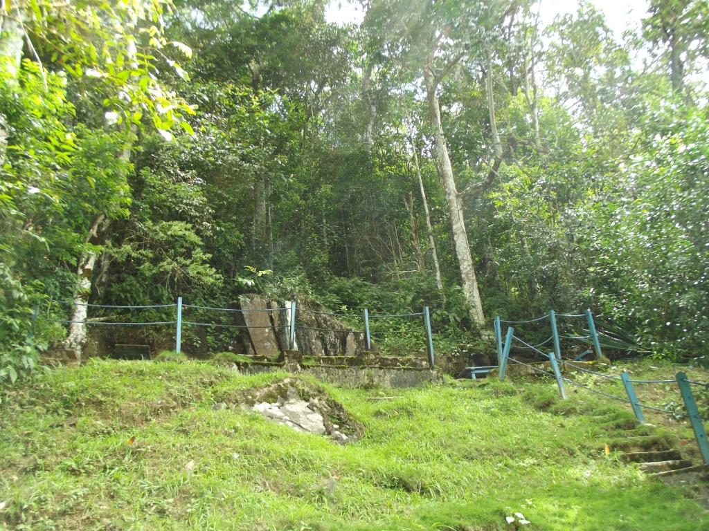 Estancia Vale das Flores  Estancia Vale das Flores