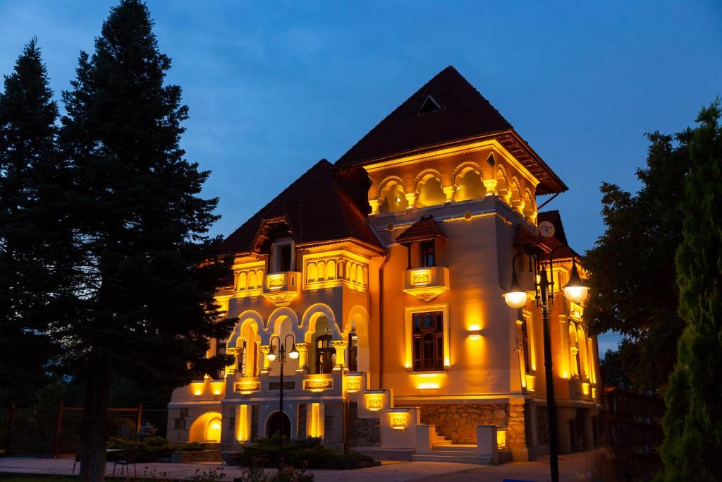 a large house with lights on it at night at Casa Danielescu in Târgu Jiu
