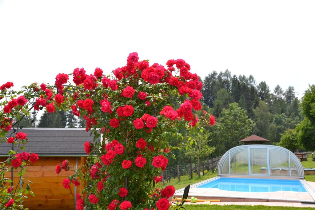 Bazén v ubytování ERLEBNISBAUERNHOF Steinerhof in Kärnten nebo v jeho okolí