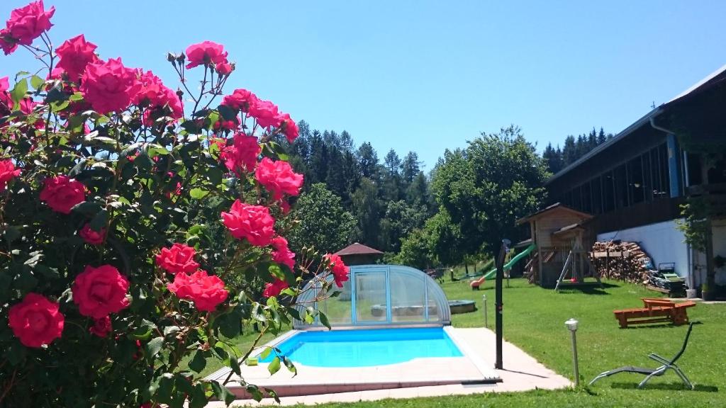 Bazén v ubytování ERLEBNISBAUERNHOF Steinerhof in Kärnten nebo v jeho okolí