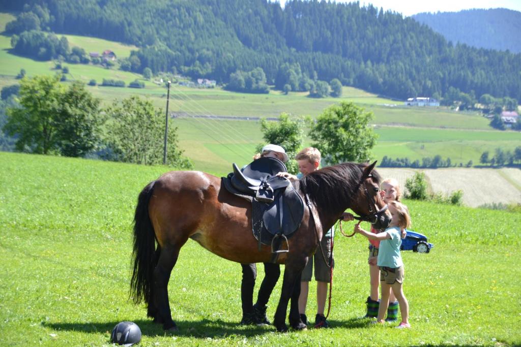 Děti v ubytování ERLEBNISBAUERNHOF Steinerhof in Kärnten