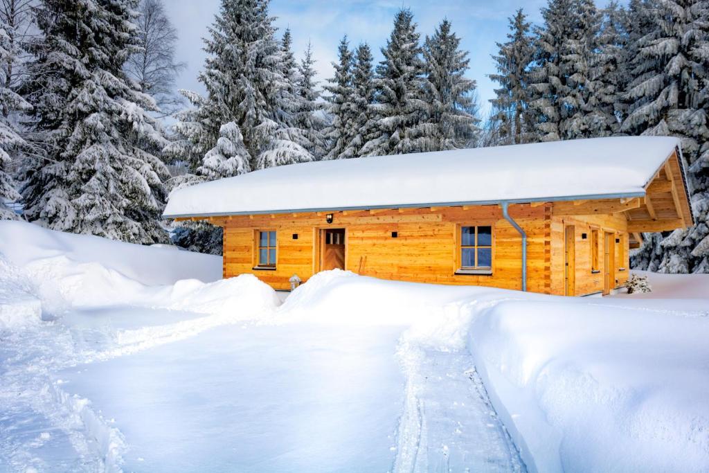 una baita di tronchi nella neve di Das Wistlberg Wohlfühlchalet a Mauth